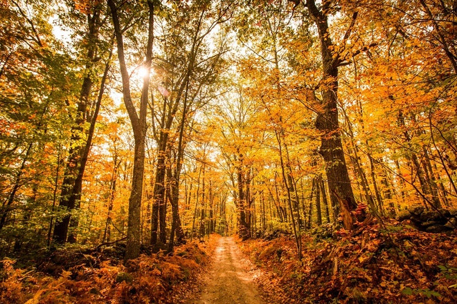 Thiên đường thiên nhiên biến hóa theo mùa ở Mỹ ảnh 1