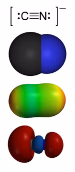  Cơ chế hoạt động của xyanua [C≡N]-. 