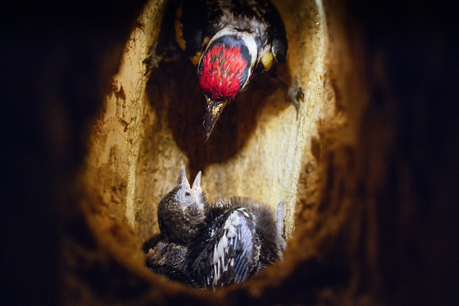 Thiên đường thiên nhiên biến hóa theo mùa ở Mỹ ảnh 8