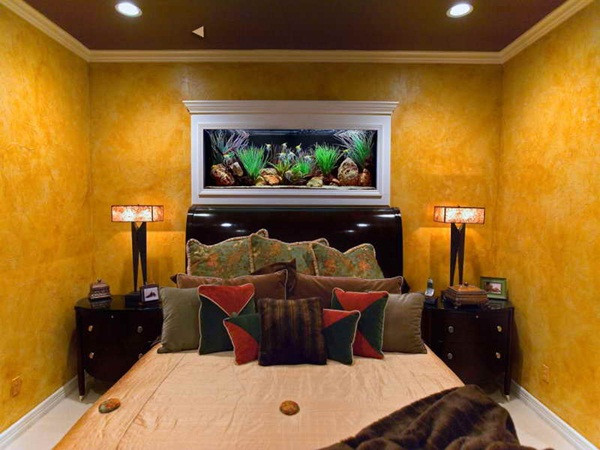 8 vị trí tuyệt vời để đặt bể cá trong nhà ảnh 10 8 vị trí tuyệt vời để đặt bể cá trong nhà ảnh 10