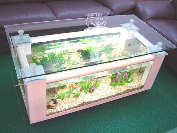 8 vị trí tuyệt vời để đặt bể cá trong nhà ảnh 7 8 vị trí tuyệt vời để đặt bể cá trong nhà ảnh 7