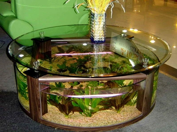 8 vị trí tuyệt vời để đặt bể cá trong nhà