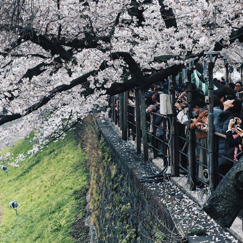 Khi bạn còn trẻ và chân còn khoẻ, nhất định phải có cho mình những chuyến đi như thế này! ảnh 23