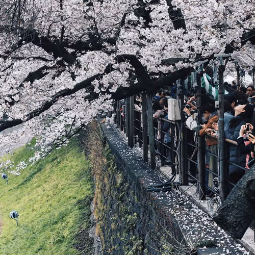 Khi bạn còn trẻ và chân còn khoẻ, nhất định phải có cho mình những chuyến đi như thế này! ảnh 23