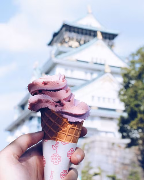 Khi bạn còn trẻ và chân còn khoẻ, nhất định phải có cho mình những chuyến đi như thế này! ảnh 24