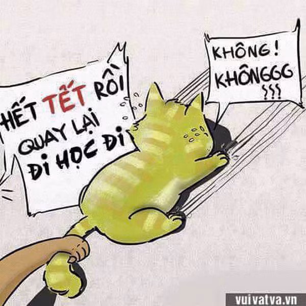  1001 cảm xúc của chúng ta khi hết Tết 