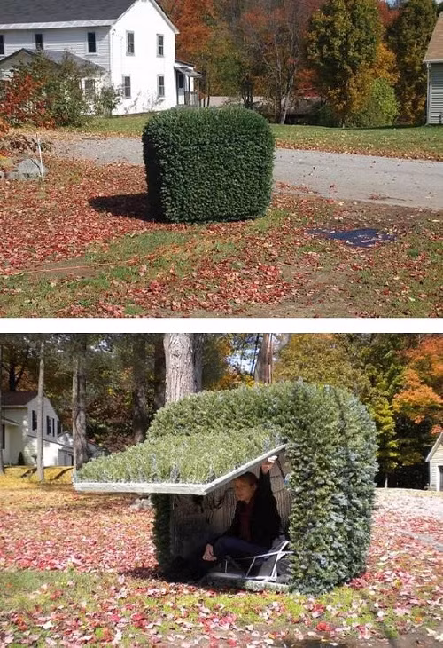 Ẩn thân chi thuật.