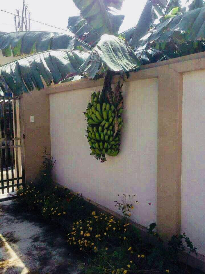 Em sẽ thuộc về ai Em sẽ thuộc về ai