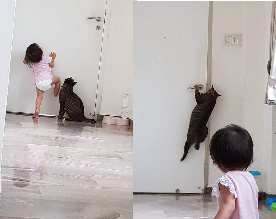 Bạn cứ để tôi Bạn cứ để tôi