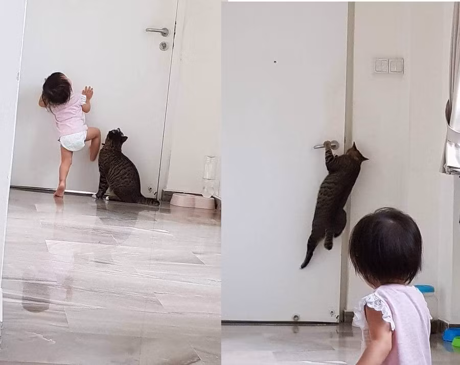 Bạn cứ để tôi