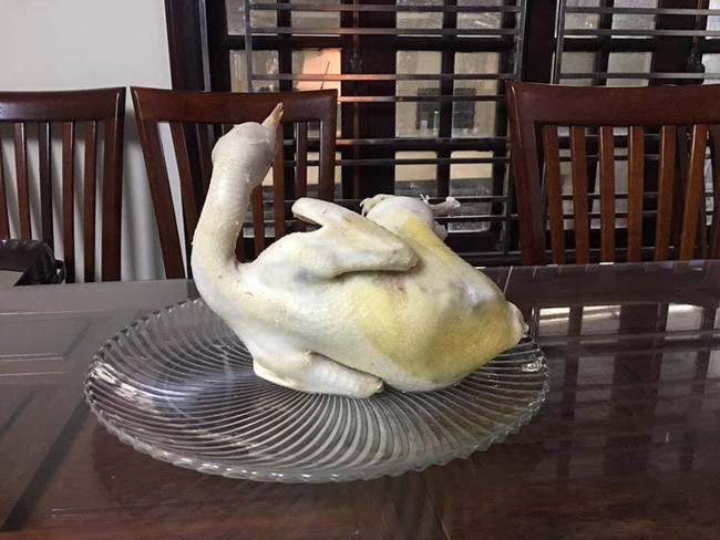 Và phía sau lưng chú gà khiến dân mạng thích thú.