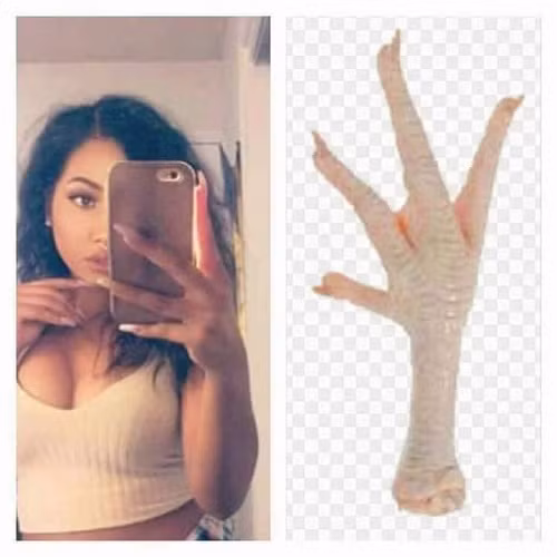 Có một sự giống nhau không hề nhẹ.