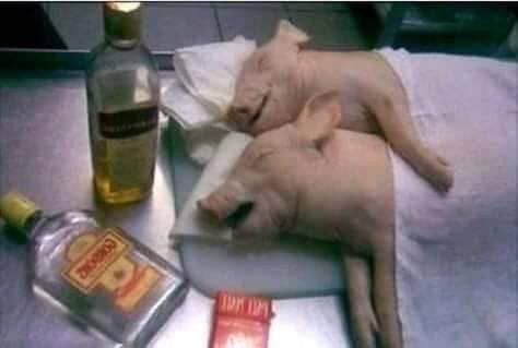 Khi đã nhận bàn giao xong Khi đã nhận bàn giao xong