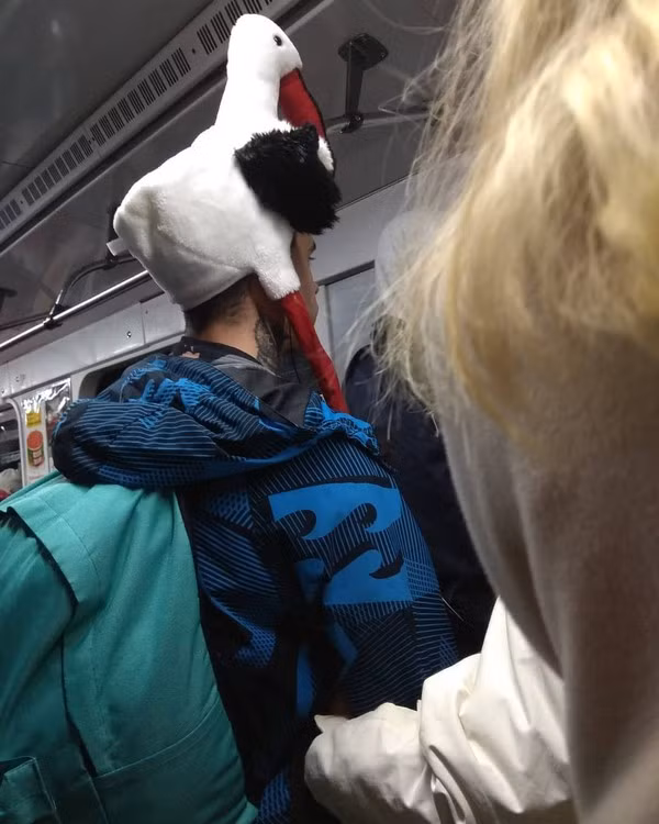 Muốn cao thêm cả chục cm, đi đến đâu các cô gái cũng ngắm nhìn không thể rời mặt thì đây là cách nhanh nhất dành cho bạn!