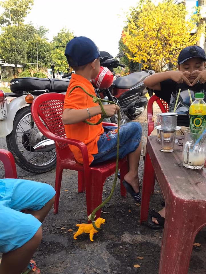 Khi bạn thích nuôi chó