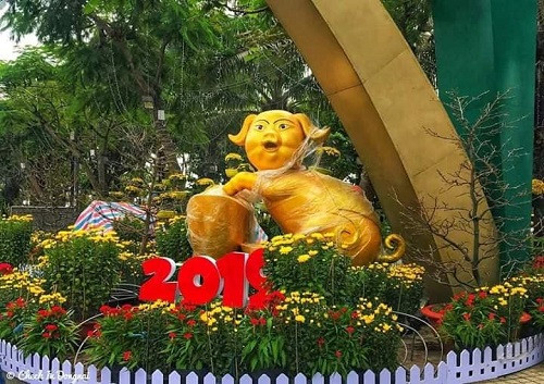 Heo vàng với mốt lông mày hot nhất năm 2019. Heo vàng với mốt lông mày hot nhất năm 2019.