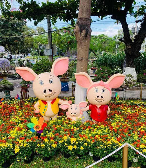 Heo lai thỏ vừa đáng yêu, vừa năng động. Heo lai thỏ vừa đáng yêu, vừa năng động.