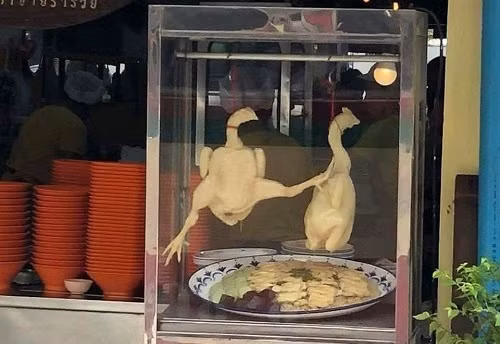 Những ảnh hài hước trong ngày 