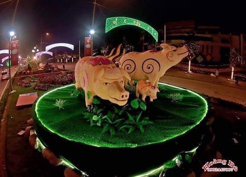 Cặp đôi ứng viên phong cách hổ báo cáo chồn. Cặp đôi ứng viên phong cách hổ báo cáo chồn.