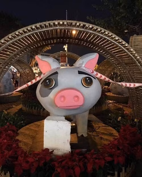 Heo thiếu nữ u buồn với đôi mắt to tròn ngấn lệ.