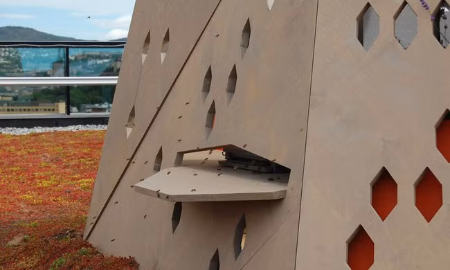 Những con đường độc nhất vô nhị trên thế giới được thiết kế dành riêng cho động vật - Ảnh 13.