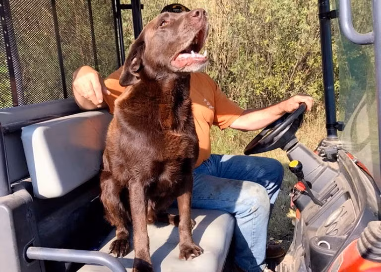 Chó bỗng nhiên sủa không ngừng trước miệng giếng, đến kiểm tra chủ nhân phát hiện ra "điều kỳ diệu" 