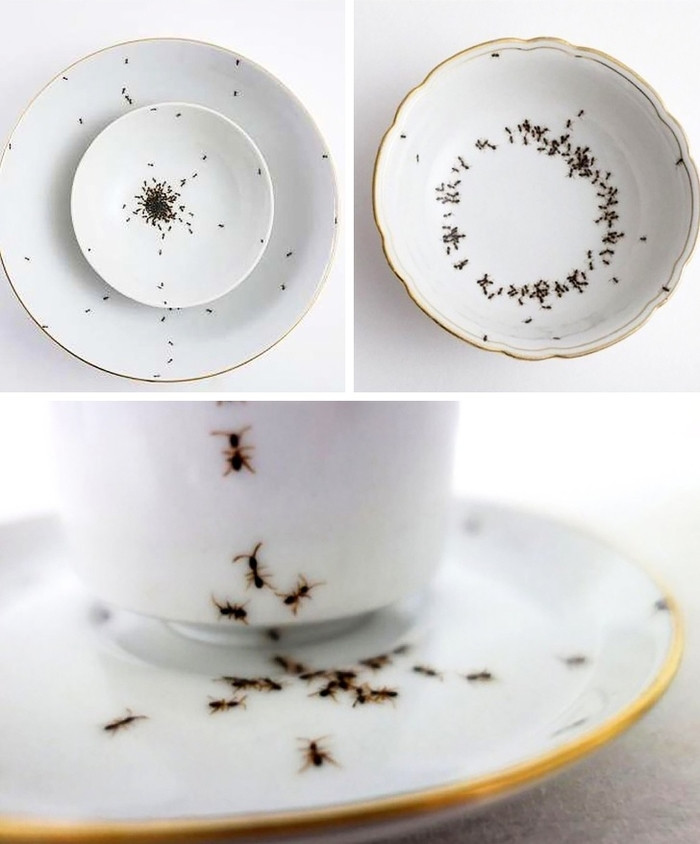 Họa tiết hình con kiến sẽ khiến món ăn hấp dẫn hơn chăng? Nhưng sự thật là nhìn thôi đã hết biết đói là gì. Có một sự phản tác dụng không hề nhẹ ở đây thì phải!  Họa tiết hình con kiến sẽ khiến món ăn hấp dẫn hơn chăng? Nhưng sự thật là nhìn thôi đã hết biết đói là gì. Có một sự phản tác dụng không hề nhẹ ở đây thì phải!