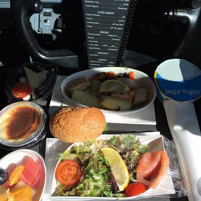  Phi công máy bay (hãng lớn) - Hà Lan: Bữa trưa của họ có khoảng 800 calo, và mỗi bữa họ phải thay đổi mỗi món ăn khác nhau, để tránh bị ngộ độc.