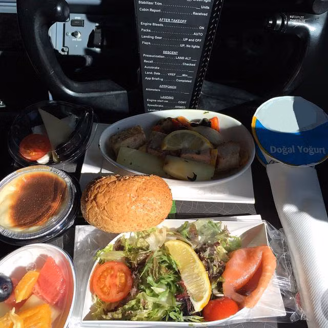  Phi công máy bay (hãng lớn) - Hà Lan: Bữa trưa của họ có khoảng 800 calo, và mỗi bữa họ phải thay đổi mỗi món ăn khác nhau, để tránh bị ngộ độc.