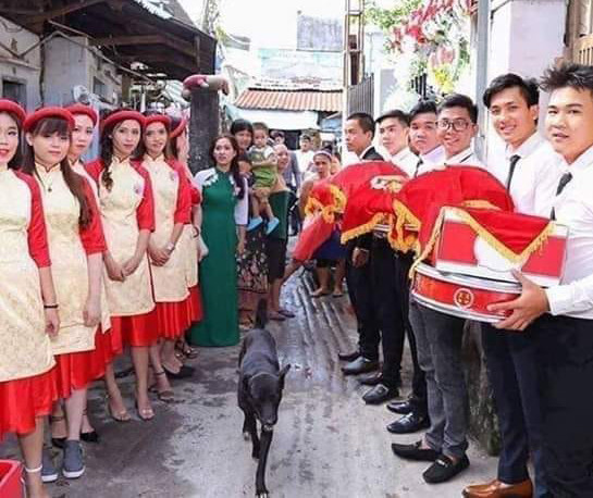 Để tôi đại diện 2 họ.