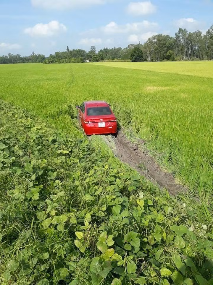 Thời 4.0 nghề nông cũng phải khác. Thời 4.0 nghề nông cũng phải khác.