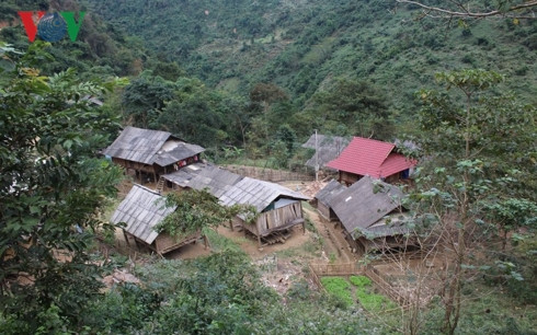 ban bao thai o nghe an: cam ket roi... lai tiep tuc ban con! hinh 1