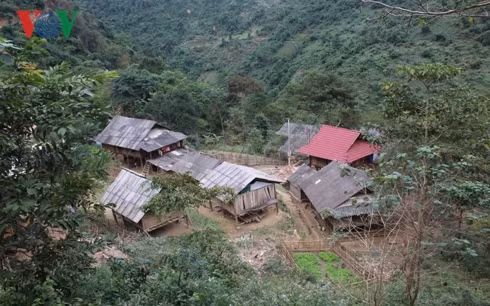 ban bao thai o nghe an: cam ket roi... lai tiep tuc ban con! hinh 1