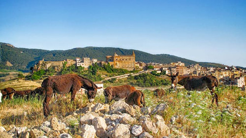 Thị trấn rao bán nhà giá rẻ như cho, hơn 1 USD/căn ảnh 2 Khu cảnh thanh bình ở Sambuca. Ảnh: CNN