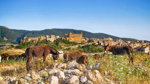 Thị trấn rao bán nhà giá rẻ như cho, hơn 1 USD/căn ảnh 2 Khu cảnh thanh bình ở Sambuca. Ảnh: CNN