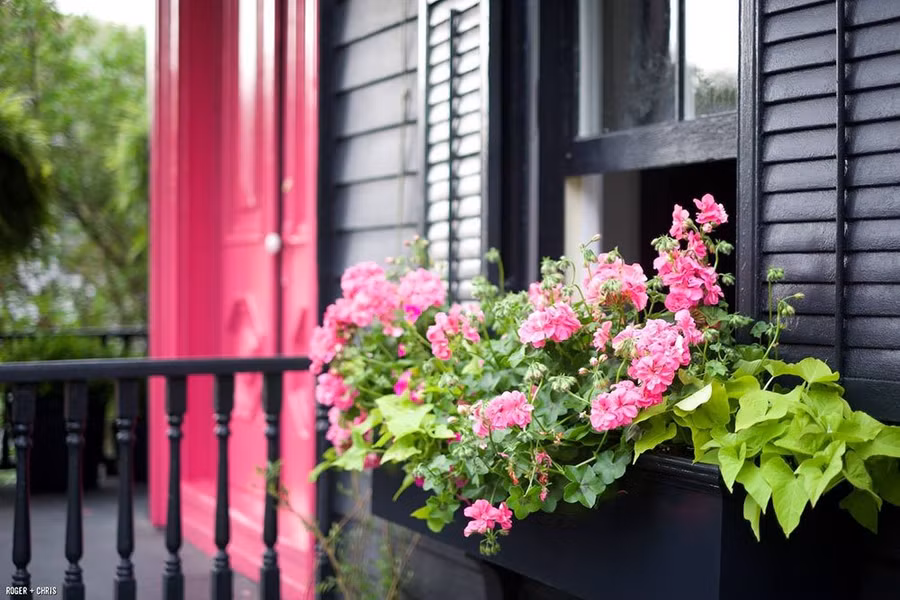 Đại gia Sài Gòn thuê thám tử theo nhân tình, biết sự thật trái ngang