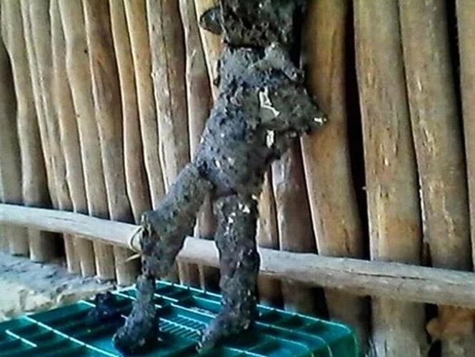 Xôn xao những xác “người ngoài hành tinh” trên Trái Đất 