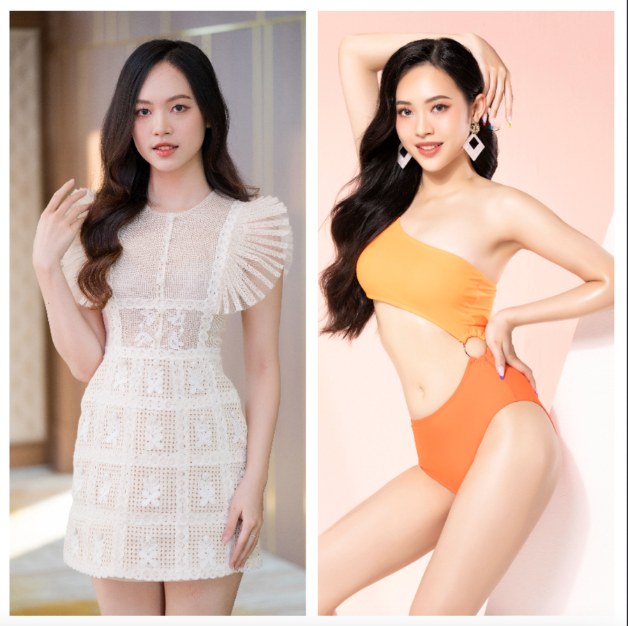 Trịnh Thùy Linh. Trịnh Thùy Linh.