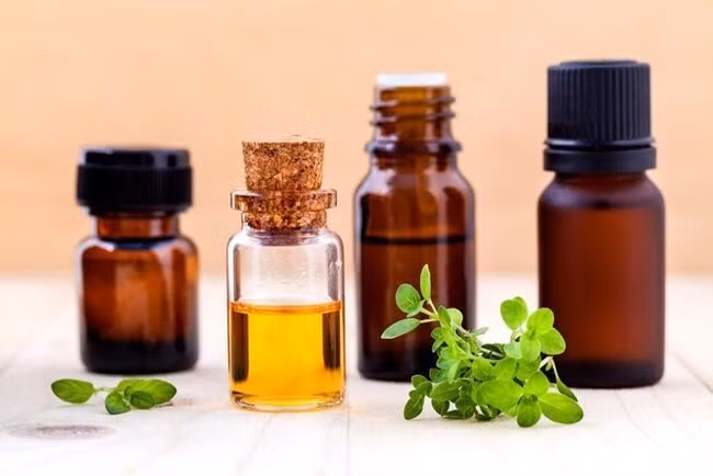 15 cách diệt côn trùng tự nhiên vừa rẻ vừa hiệu quả