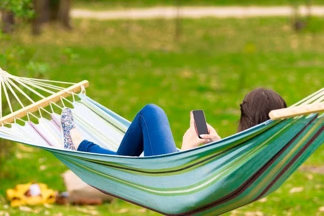 15 cách diệt côn trùng tự nhiên vừa rẻ vừa hiệu quả