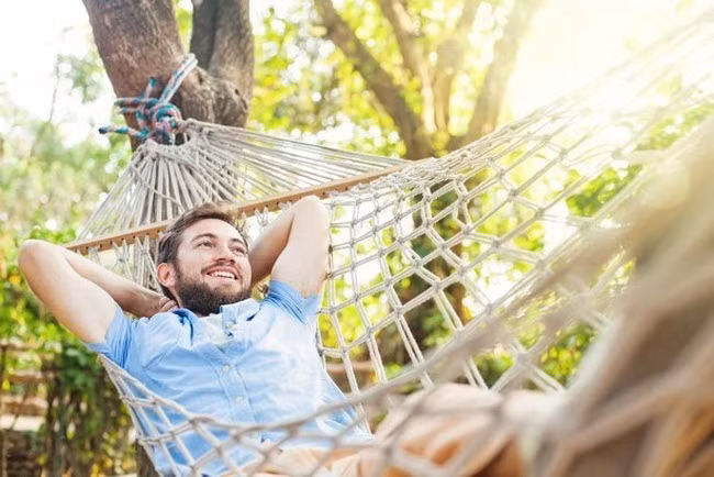 15 cách diệt côn trùng tự nhiên vừa rẻ vừa hiệu quả