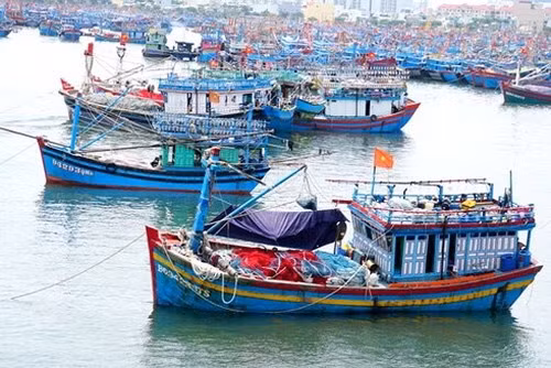 Triển khai ứng phó với cơn bão số 4, di dời dân ra khỏi vùng nguy hiểm