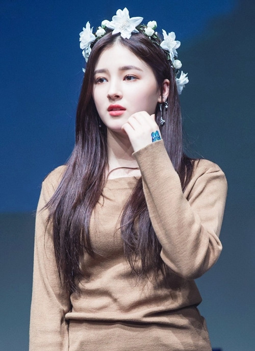 Loạt áo phông màu sắc của "Bông hồng lai" xứ Hàn ảnh 14 Loạt áo phông màu sắc của