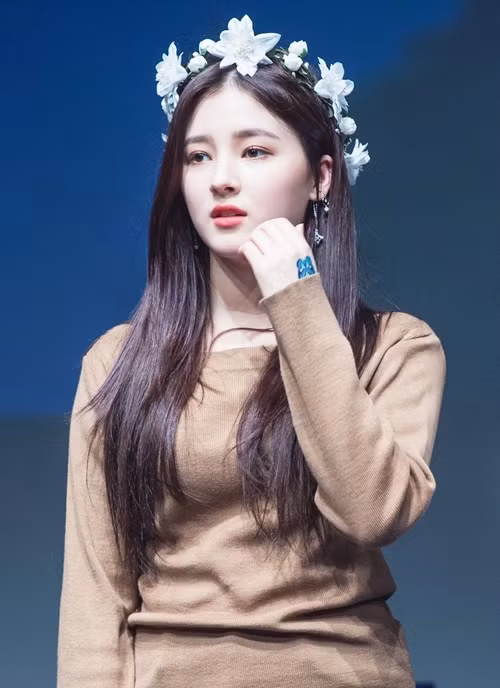 Loạt áo phông màu sắc của 