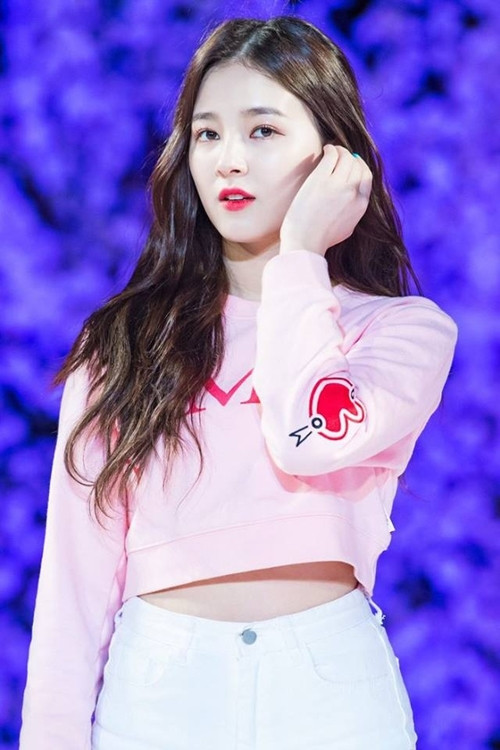 Loạt áo phông màu sắc của "Bông hồng lai" xứ Hàn ảnh 8 Loạt áo phông màu sắc của