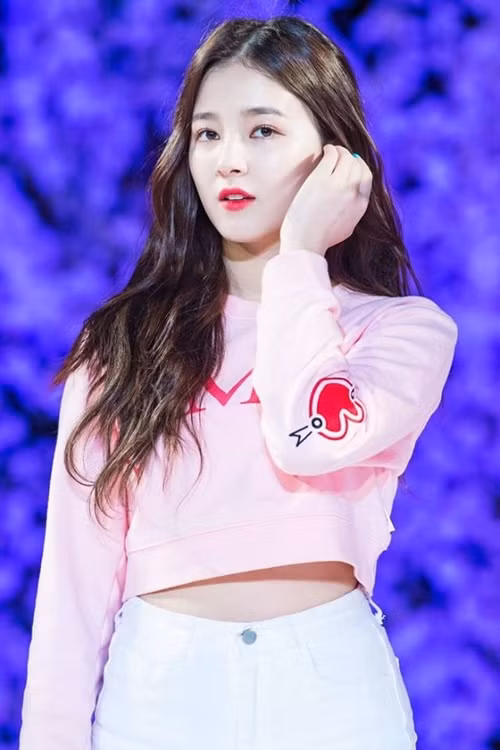 Loạt áo phông màu sắc của 