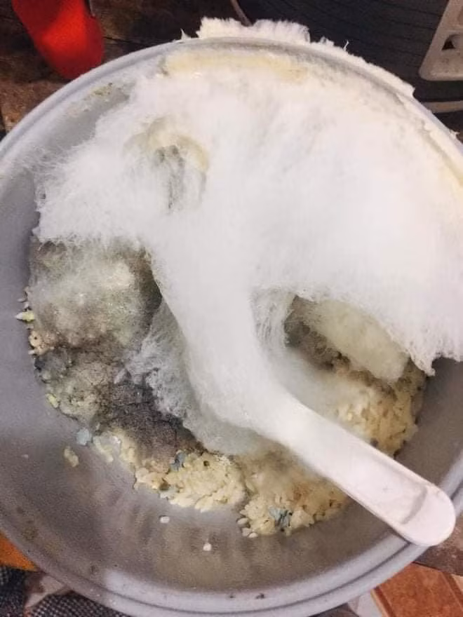 Bức ảnh này có thể phát ra tiếng khóc.