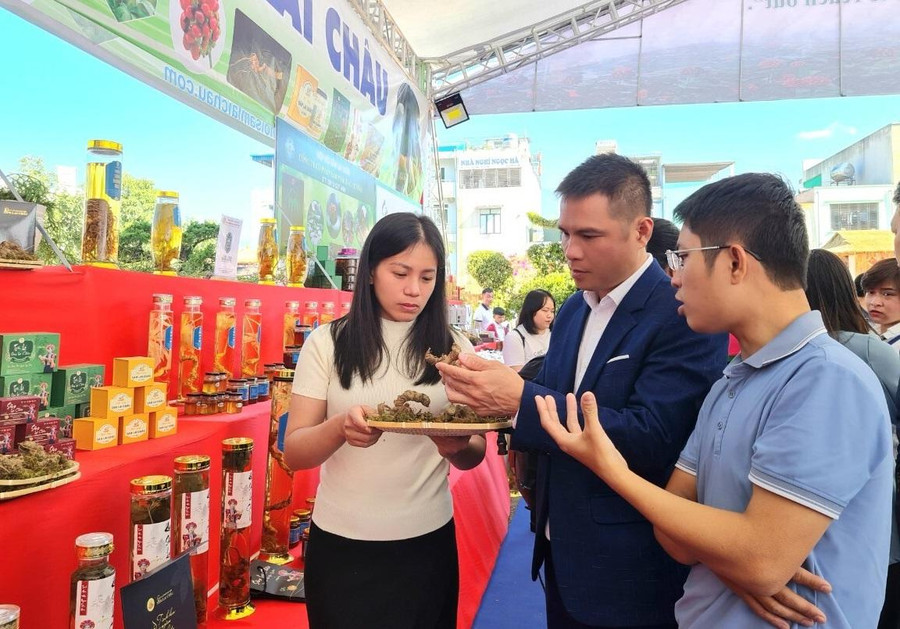 Đại biểu tìm hiểu về Sâm Lai Châu trong khuôn khổ Hội nghị. Đại biểu tìm hiểu về Sâm Lai Châu trong khuôn khổ Hội nghị.