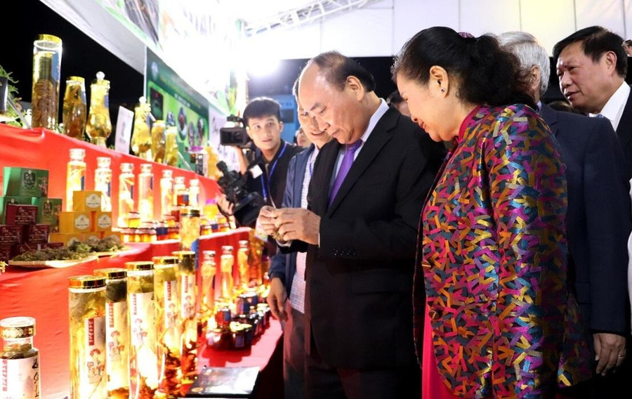 Chủ tịch nước cùng các đại biểu tham quan gian trưng bày sản phẩm Sâm Lai Châu.