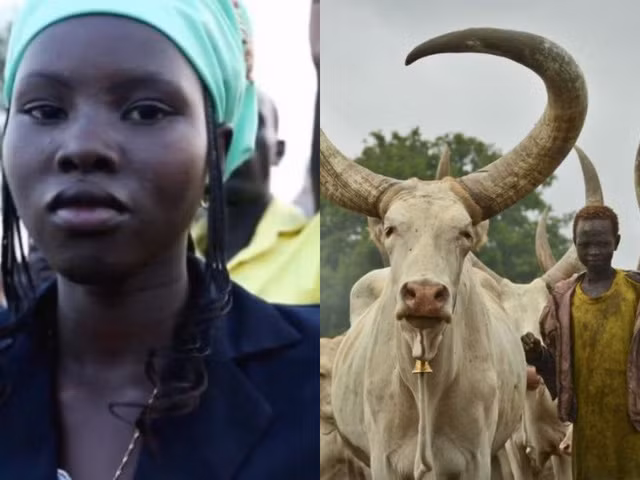 Tại Nam Sudan, 1 cô dâu = 300 con bò?!. Ảnh: AP/Human Rights Watch.